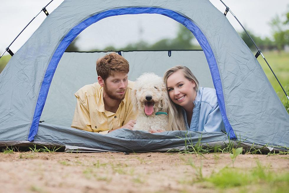 Study Names This Upstate NY Spot as Best in U.S. to Camp with Dogs