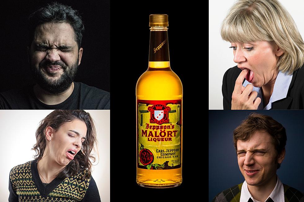 Central New Yorkers Try Jeppson’s Malort, the World’s Worst Tasting Liquor