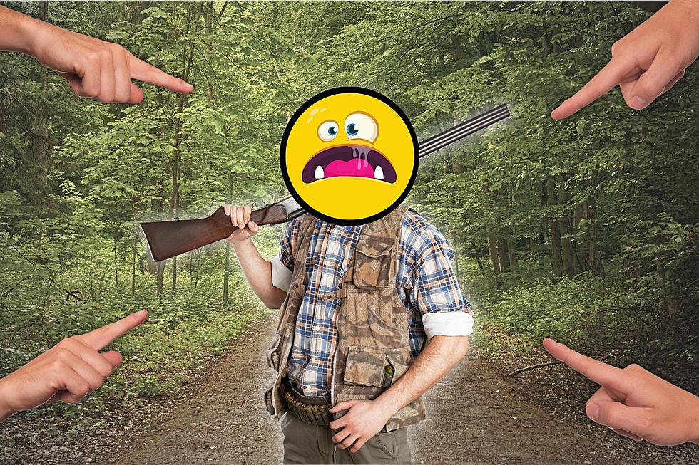 Reddit Criticizes NY Man's Plan to Bring Shotgun on Hiking Trail