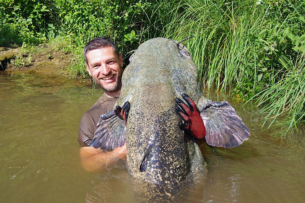 The 10 Most Monstrous Fish Ever Caught in New York State