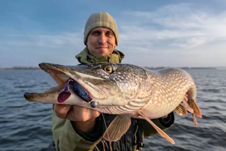 A NY state record: CNY angler catches huge, 8 lb. smallmouth bass on Cayuga  Lake 
