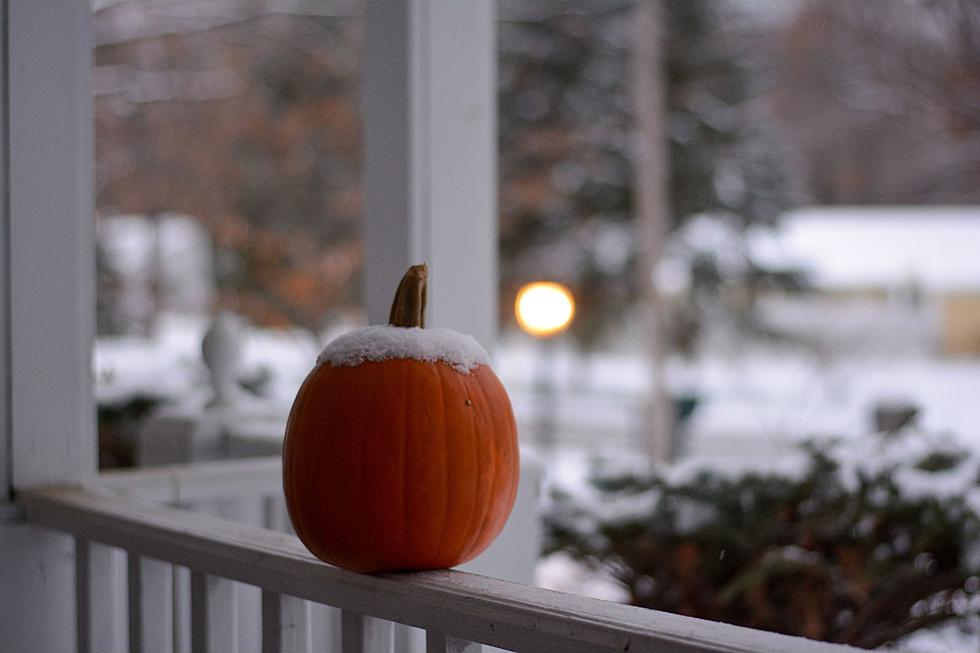 When Is It Time to Say Boo-Bye to Your Halloween Decorations?