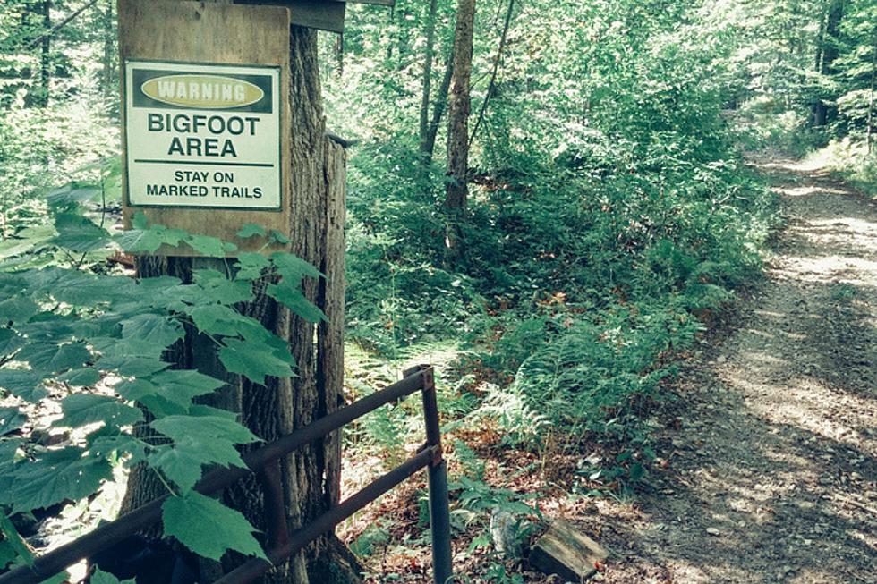 Bigfoot Encounter in the Adirondacks Last Year Deserves Another Look