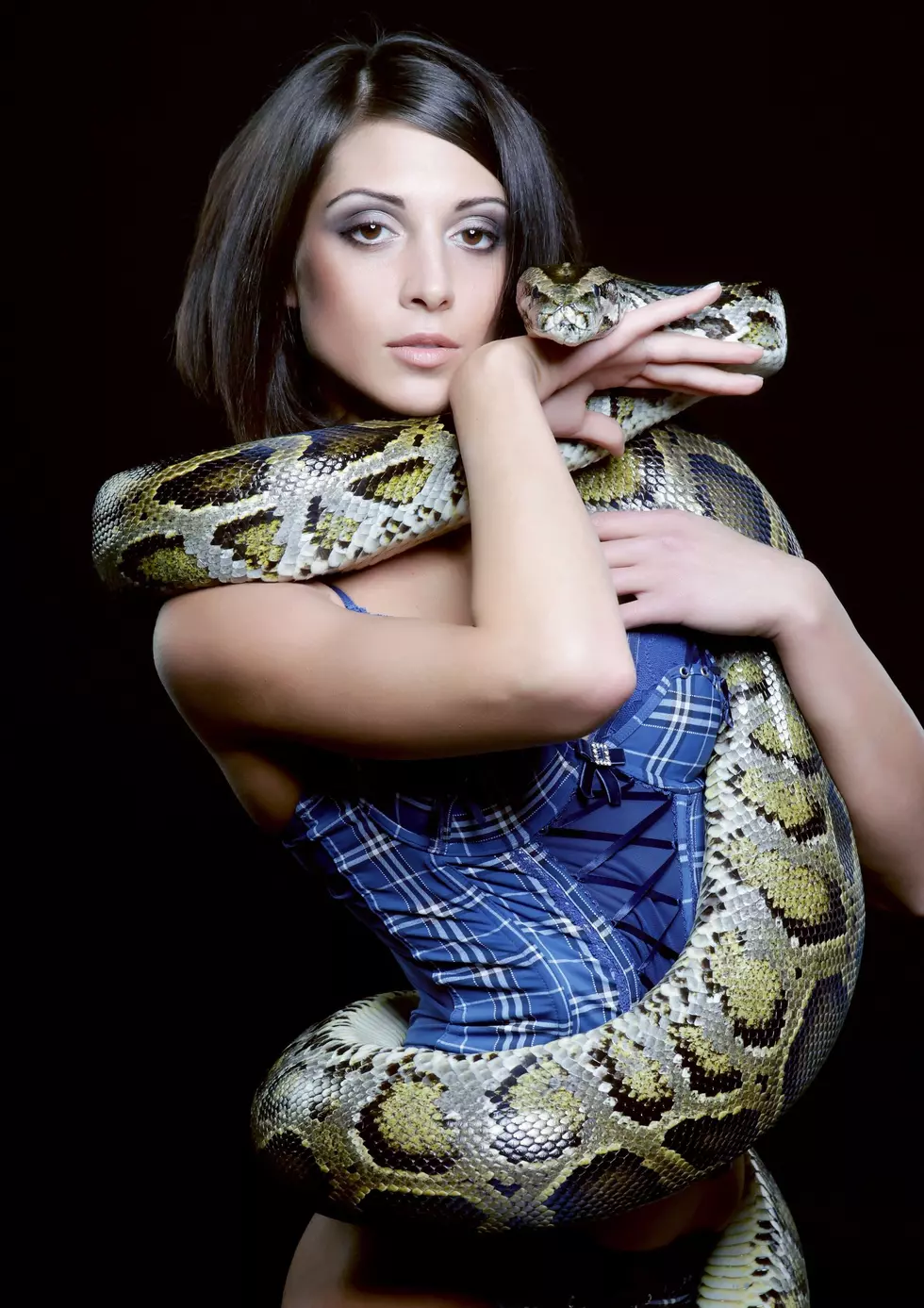 sexy python - 1