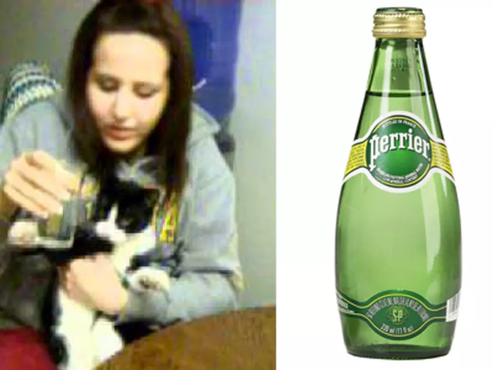 Classy Cat Loves Perrier Water [VIDEO]