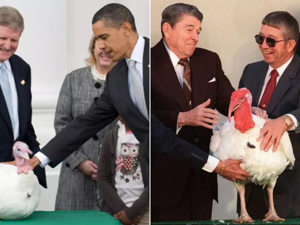 8 Wacky Presidential Turkey Pardon Moments [VIDEOS, PHOTOS]