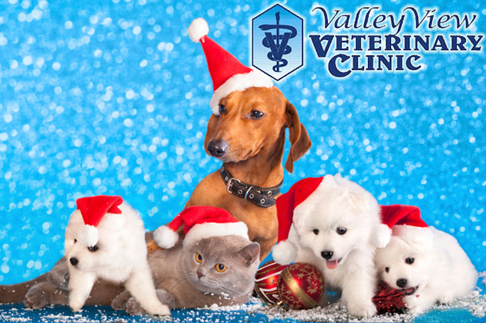 Valley View Veterinary Clinic Christmas Pet Costume Contest – Submit Your Photos!