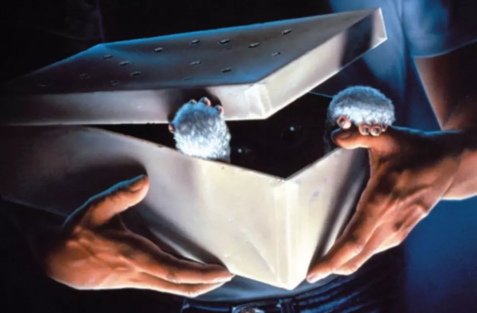 Gremlins Ruined Our Family Movie Night [POLL]