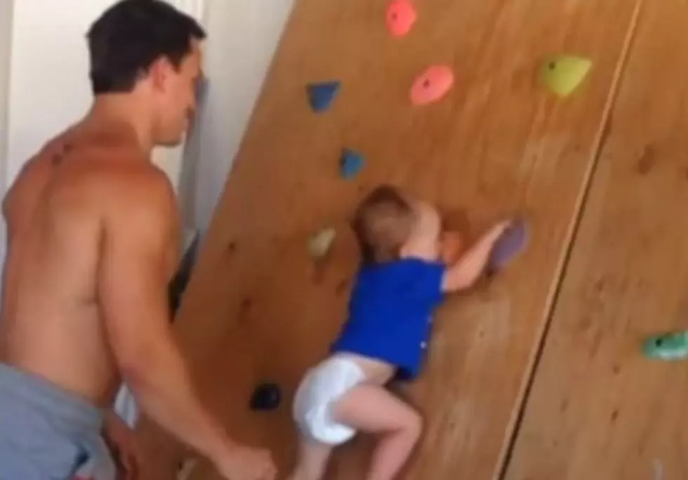 Baby Takes on Rock Wall With No Help Needed 