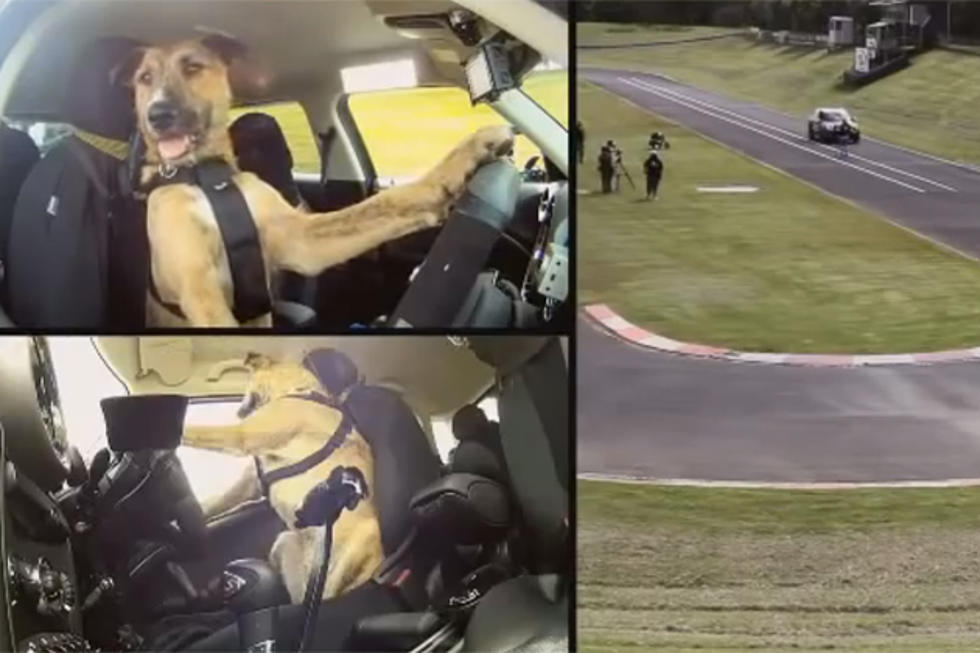 Watch Dogs Driving a Mini… Seriously [Video]