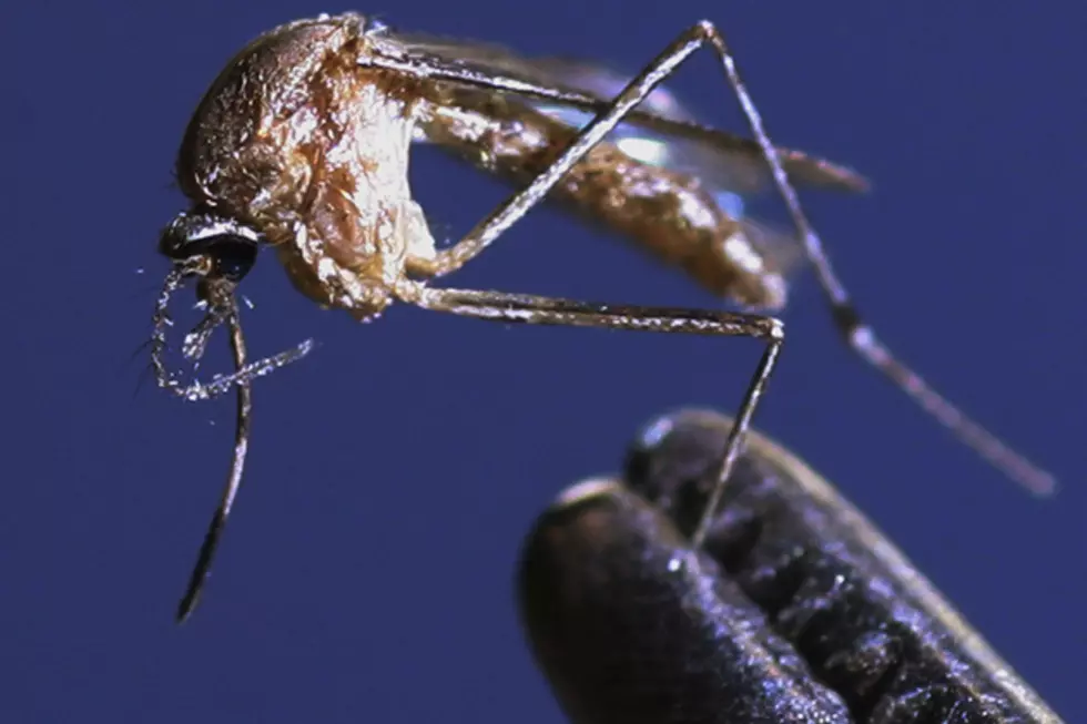 West Nile in Twin Falls