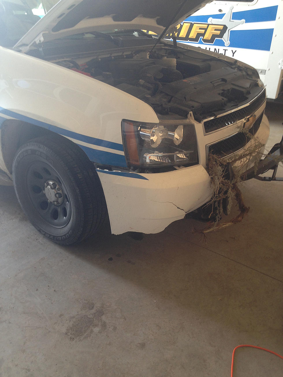 Man Arrested After Stealing, Crashing Patrol Car
