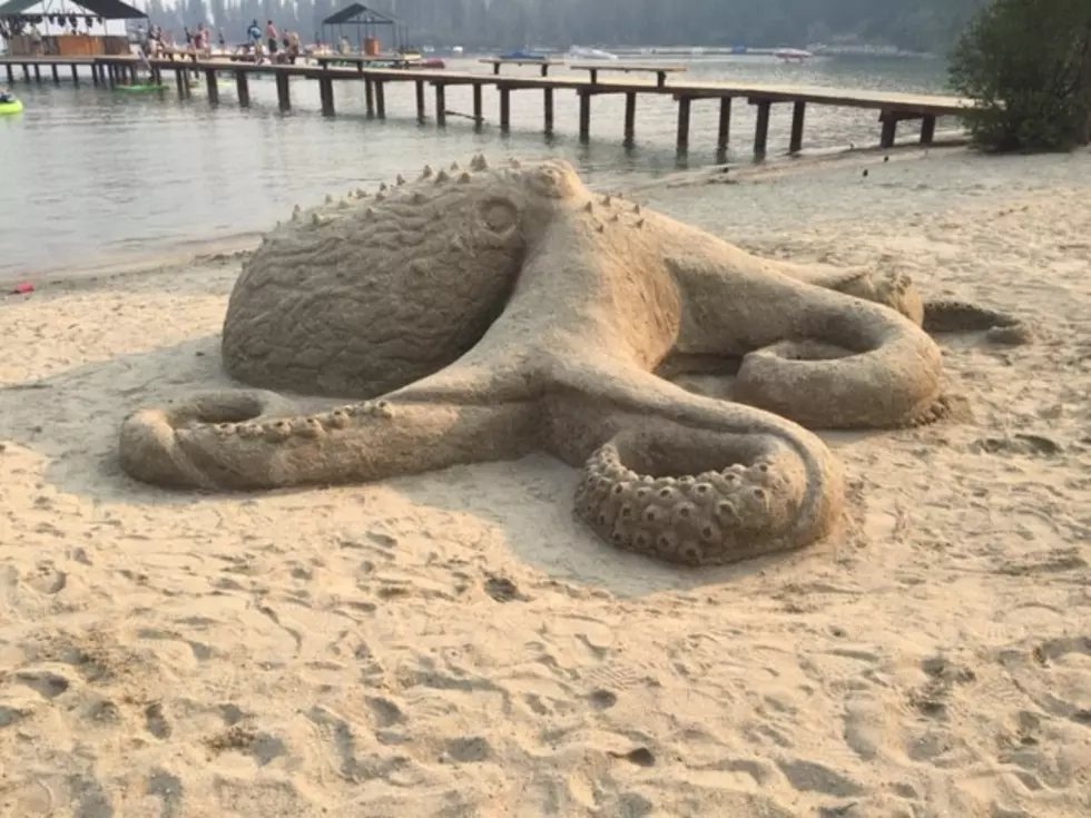 beached octopus
