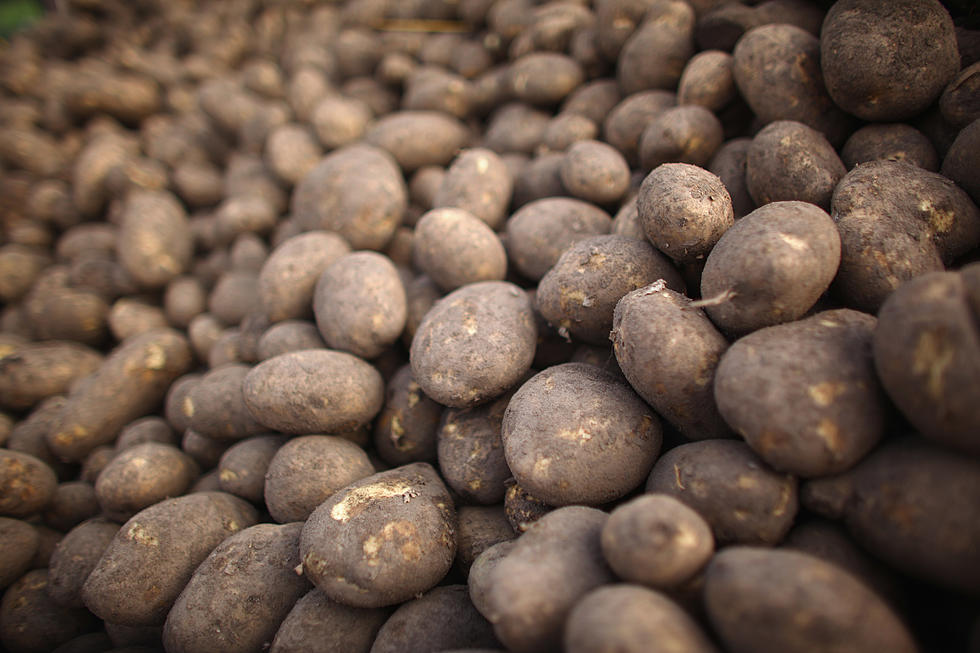 U.S. Approves 3 Types of Genetically Engineered Potatoes 