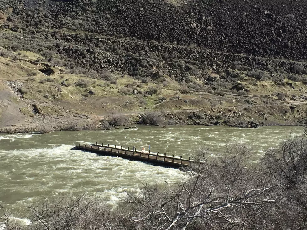 Auger Falls In Twin Falls