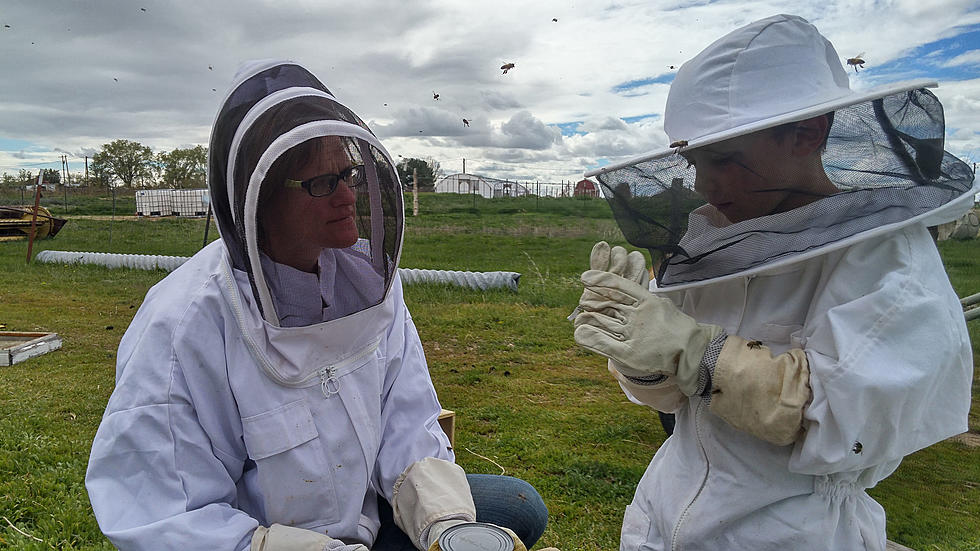 Twin Falls Beekeepers Recognized by National Group