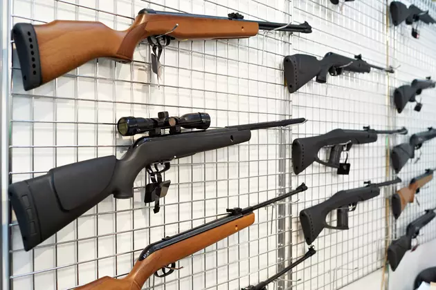 Idaho Ranks Third for Gun Ownership