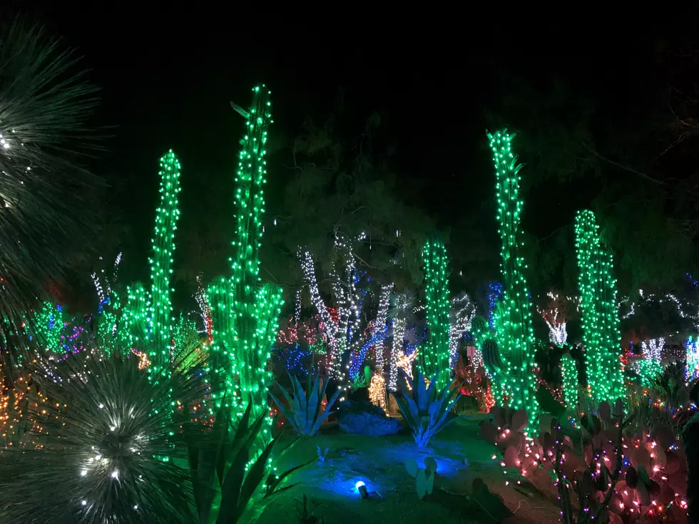 Orton Botanical Garden Christmas Lights Begin Thanksgiving Evening