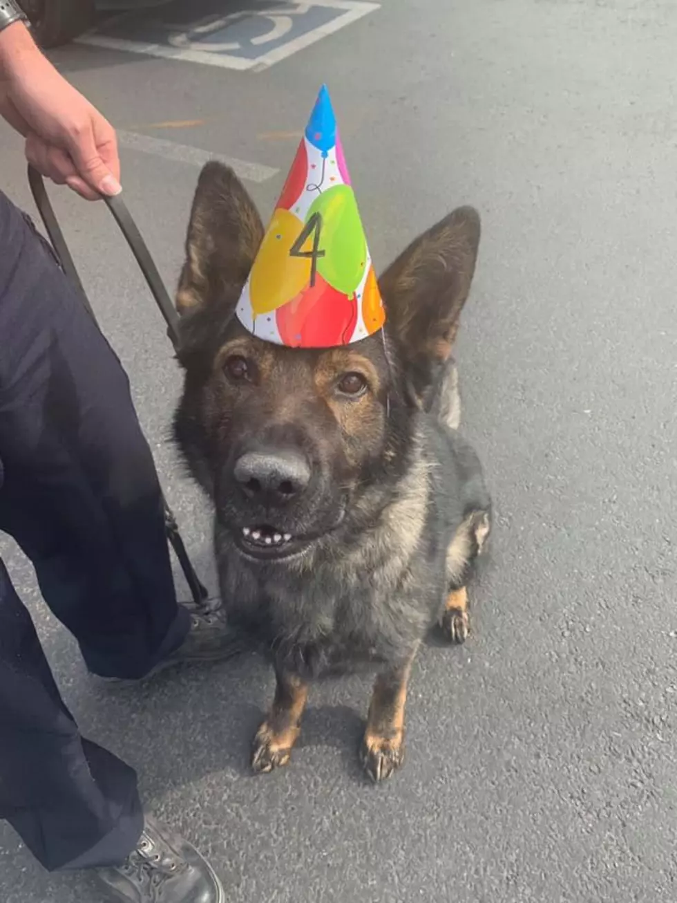 Twin Falls Police Department Celebrate K-9 Frankie&#8217;s Birthday