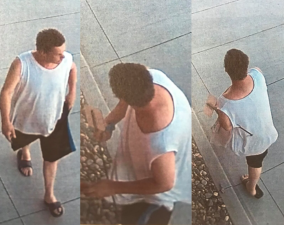 Idaho News: Thief Caught Stealing Dog Poop Sign