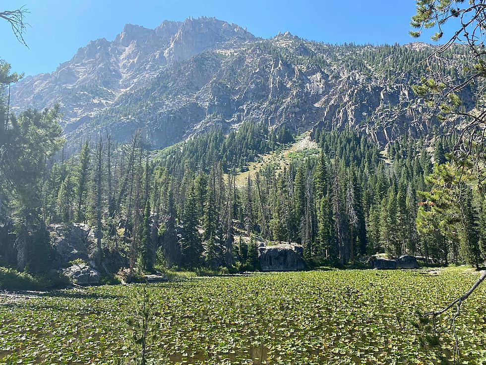 Lily Pond At Redfish Lake Near Stanley Is A Fairytale Get Away