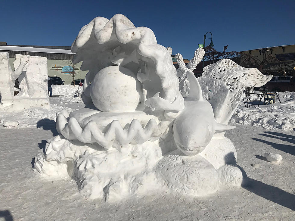 LOOK: The Best Snow Creations to Make During the Next Idaho Snow