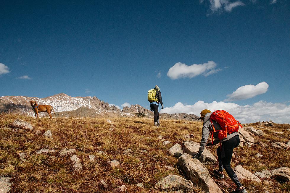 New Year Hiking And Raptor Tours 85 Miles From Twin Falls