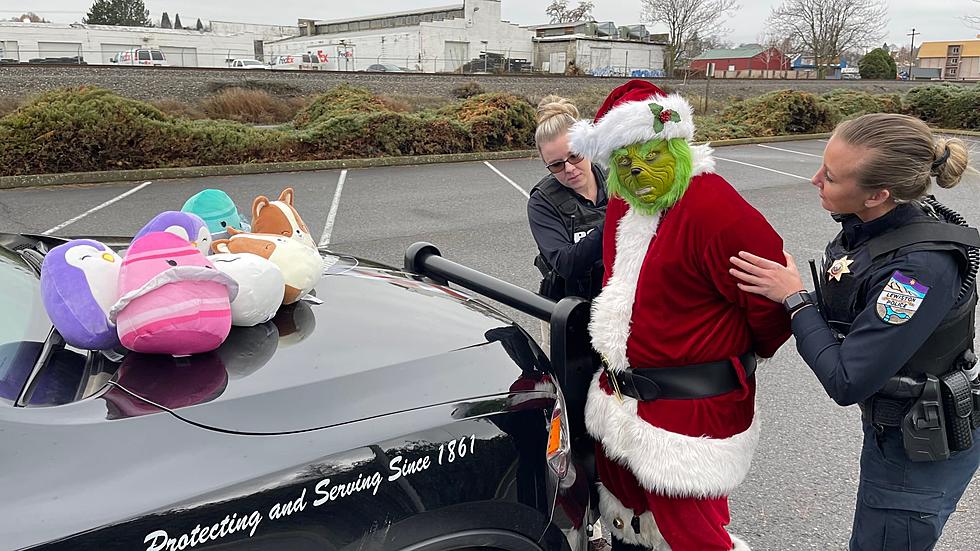 The Lewiston Police Thwart The Mean One, Mr. Grinch
