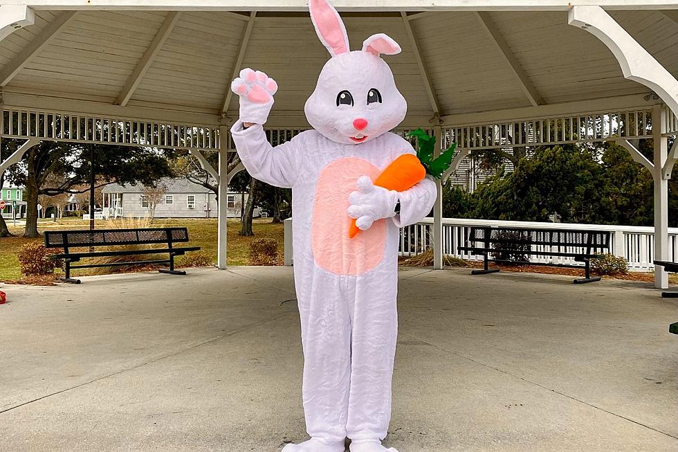 Hunt Eggs and Enjoy Ice Cream With the Easter Bunny at Magic Valley Event