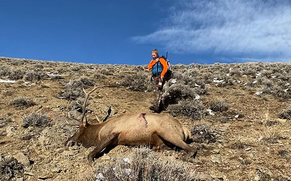 Idaho Woman Tags Massive Elk At Over 5 Months Pregnant