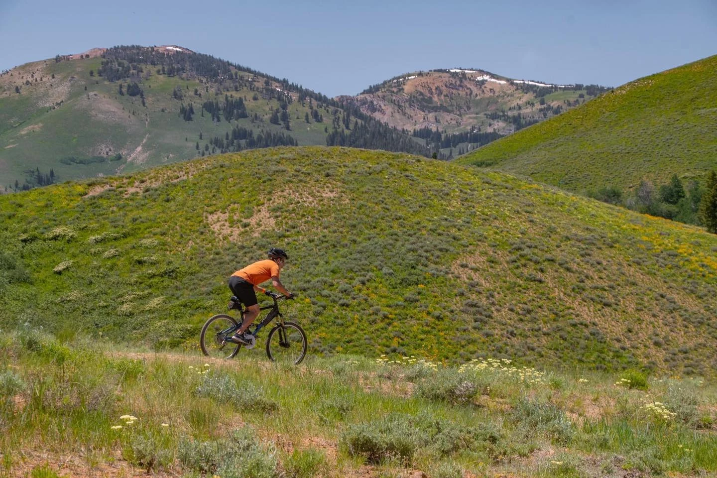 Soldier Mountain Ski Area Bike Park Opening This Weekend
