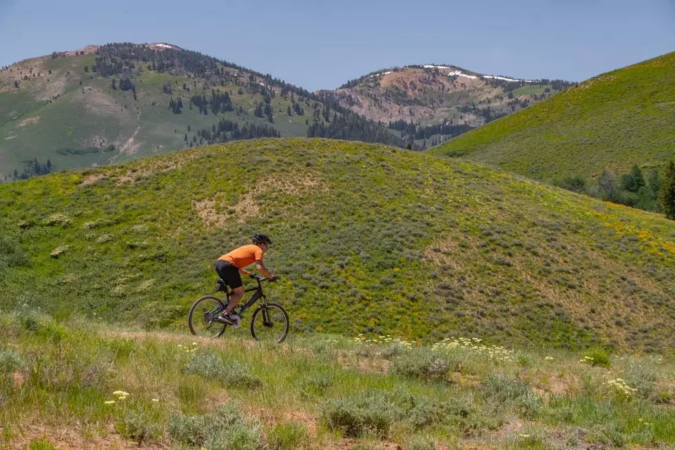 Ride The Only Ski Area Mountain Bike Park Opening 70 Miles From Twin Falls