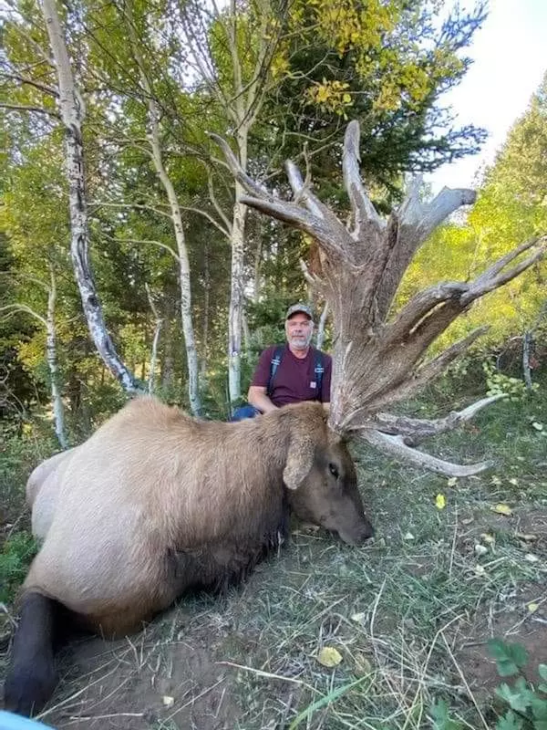 Potential Record Breaking Elk Shot In Idaho And It's Huge