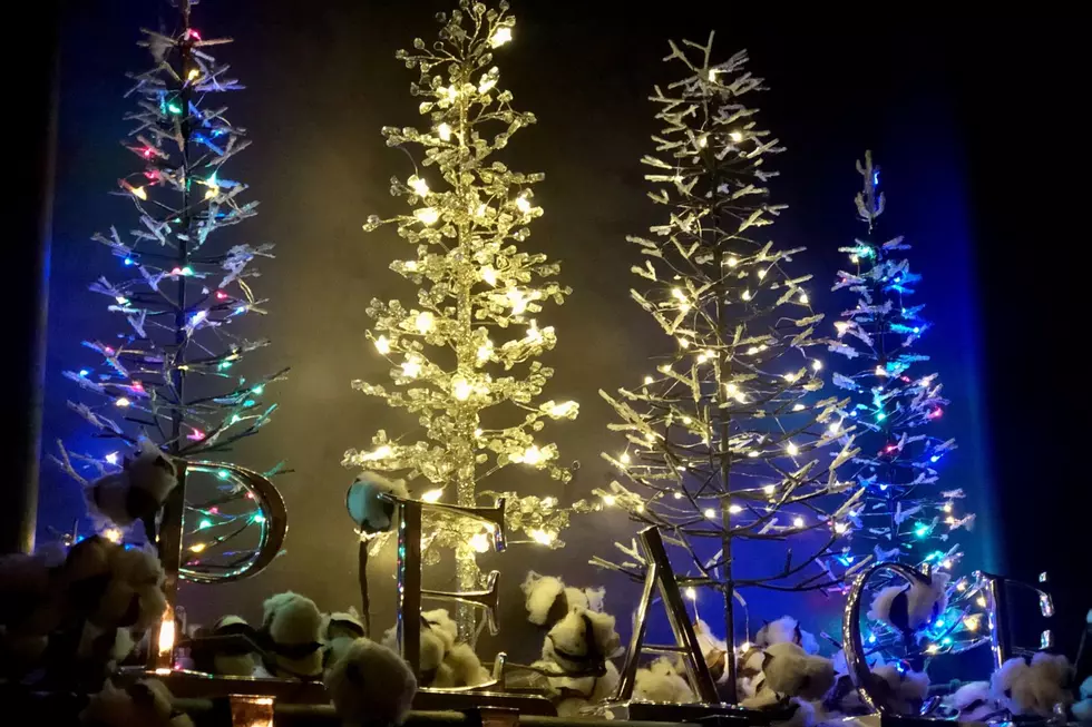 Don't Miss the Festival of Trees Taking Place in Idaho this Month