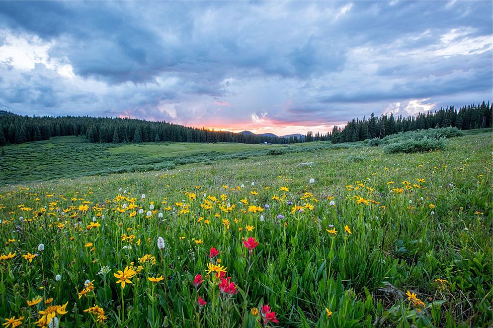 Why Right Now Is The Best Season in Idaho