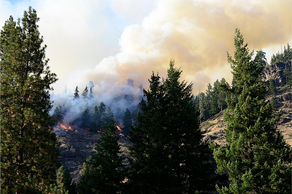 It’s Smoke Not Allergies In Idaho, And Here’s Where It’s Coming From