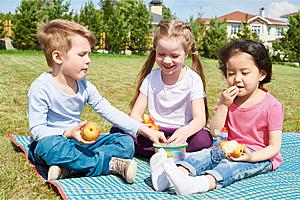 Where and When Are the Free Summer Lunches in Twin Falls?