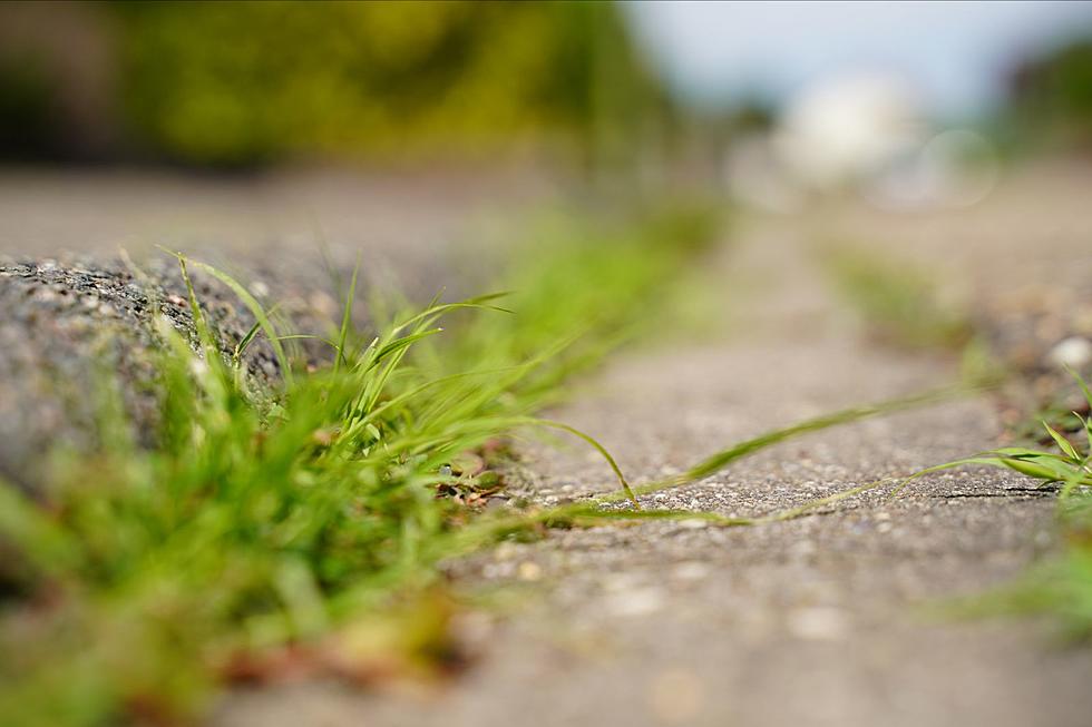 Blowing Grass into the Roadway in Idaho: Legal or Illegal?