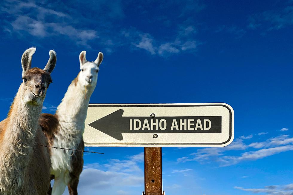 How Does a Transplant from Another State Prove They Belong in Idaho?