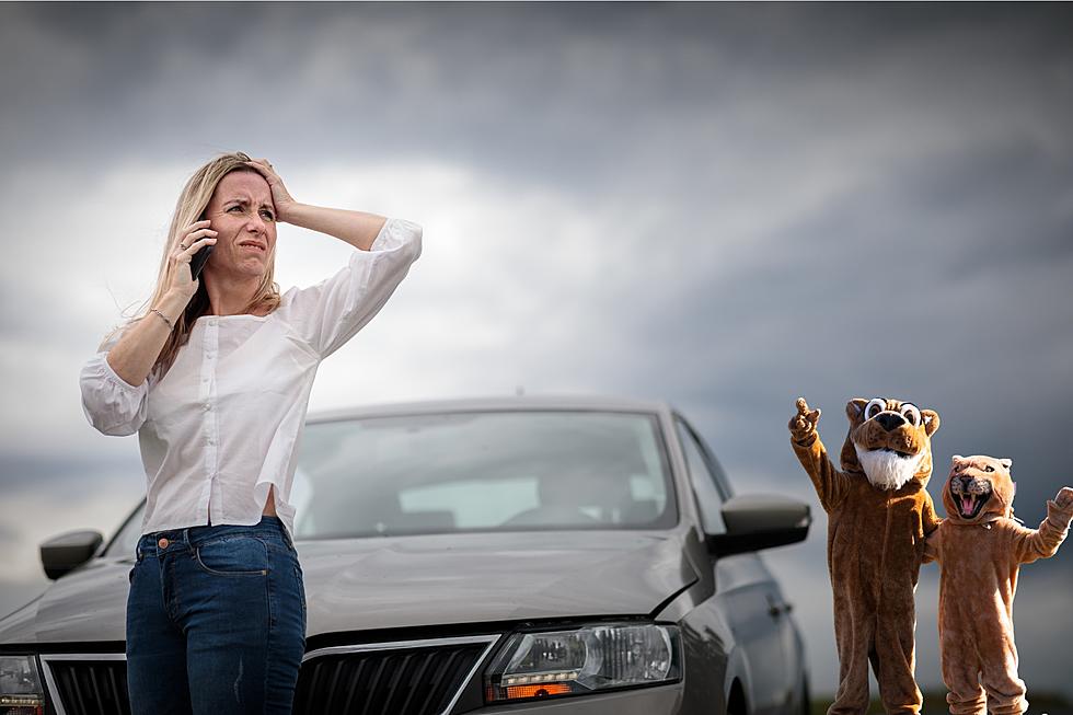 Boise Dispatch Shares Hilarious Story of Stranded Family Encounter With a Cougar