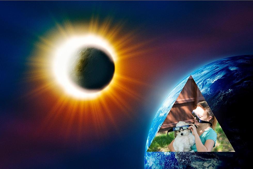 Free Admission: View the 2023 Eclipse at The Centennial Observatory