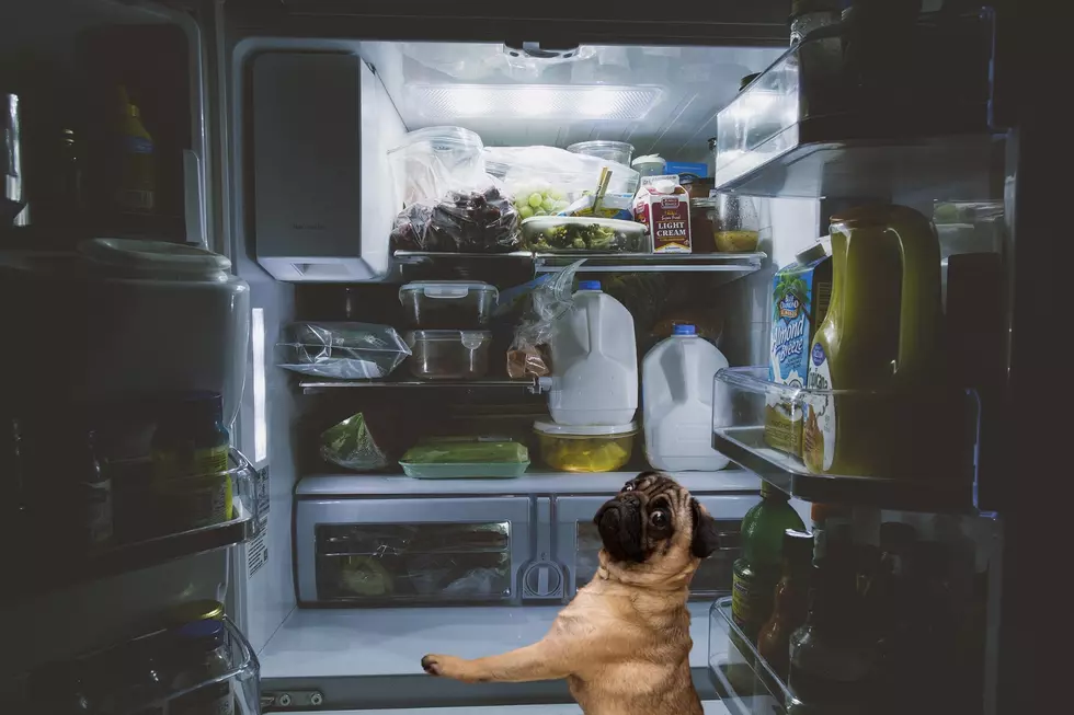 Credit Canva