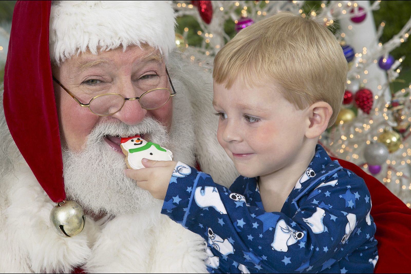 What Does Idaho Think is the Best Christmas Cookie?