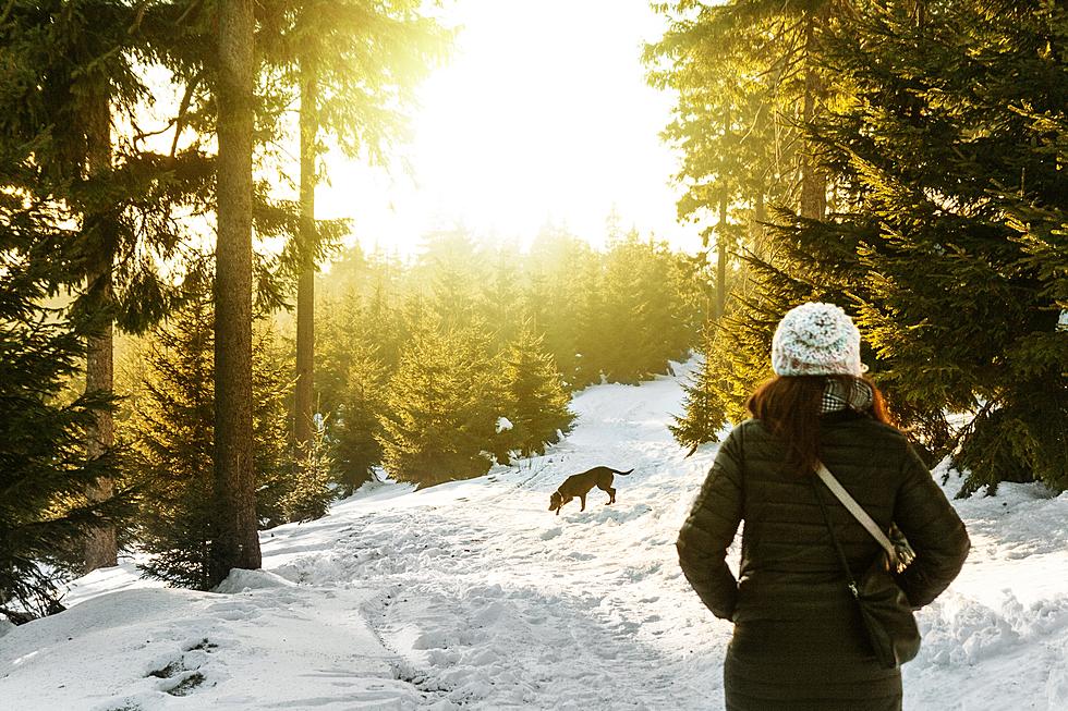 Your Unleashed Dog Could Land You in Jail on Your Next Idaho Hike