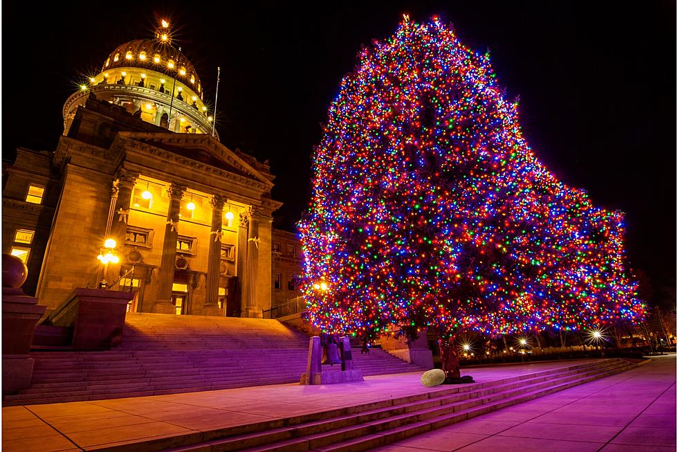 What Should Be in the 12 Days of Idaho Christmas?