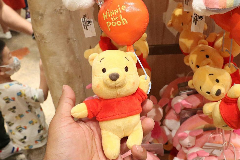 Which Winnie the Pooh Character Are You on Idaho Rants and Raves?