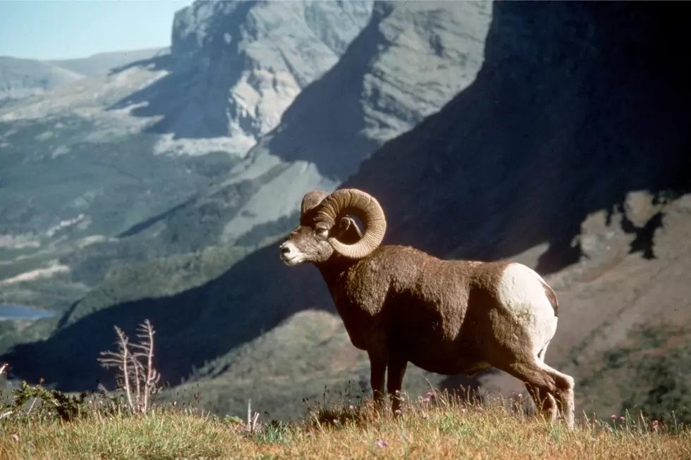 Credit National Park Service