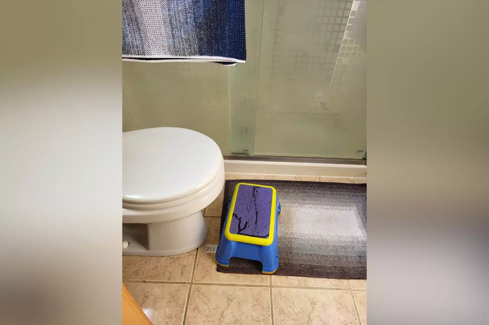 step stool at toilet