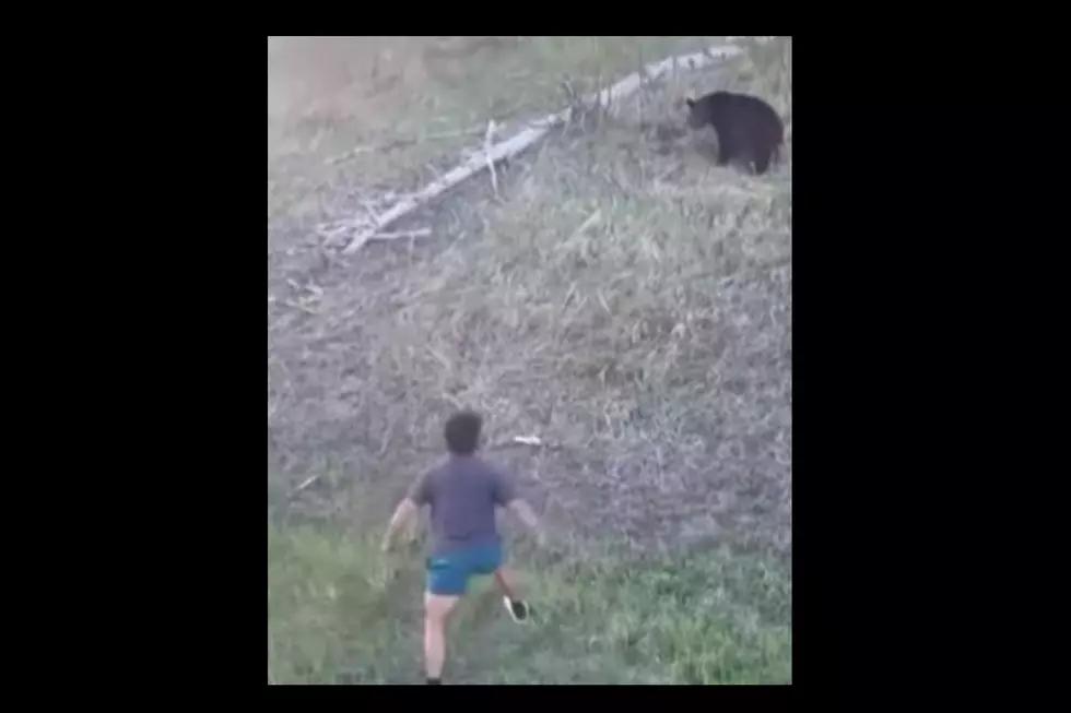 Man charges, flexes on wild bear Credit: Meta (Yellowstone Natn'l Park: Invasion of Tourons/Tourons of Yellowstone)