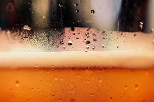 Cool Off Saturday In Twin Falls ID At 14th Beer Festival